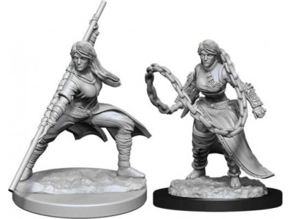 D&D Nolzur's Marvelous Miniatures: Human Monk Female