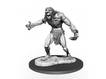 D&D Nolzur's Marvelous Miniatures - Raging Troll