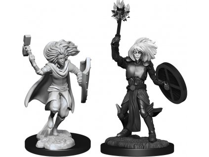 D&D Nolzur's Marvelous Miniatures: Changeling Cleric