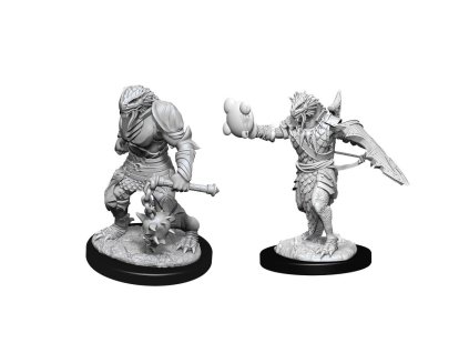 D&D Nolzur's Marvelous Miniatures - Male Dragonborn Paladin
