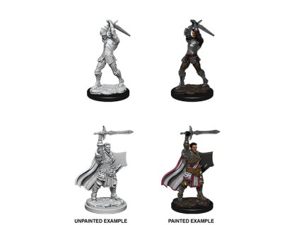 D&D Nolzur's Marvelous Miniatures - Male Human Paladin