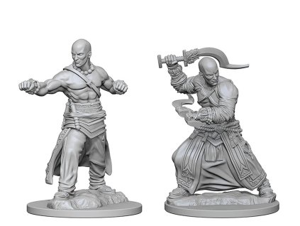 Pathfinder Battles Deep Cuts:  Human Male Monk
