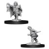 D&D Nolzur's Marvelous Miniatures - Male Halfling Rogue