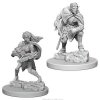 D&D Nolzur's Marvelous Miniatures - Drow