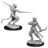 D&D Nolzur's Marvelous Miniatures - Male Tabaxi Rogue