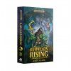 Bad Loon Rising (Paperback)