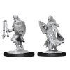 D&D Nolzur's Marvelous Miniatures: Kalashtar Cleric Female
