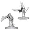 D&D Nolzur's Marvelous Miniatures - Elf Female Druid