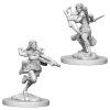 D&D Nolzur's Marvelous Miniatures - Air Genasi Female Rogue