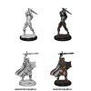 D&D Nolzur's Marvelous Miniatures - Male Human Paladin