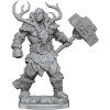Dungeon & Dragons Frameworks: GoliathBarbarian Male