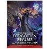 Dungeons & Dragons - Forgotten Realms: Adventures in Faerun - EN