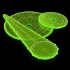 Green Stuff World Blast Markers and Templates - Fluor Green
