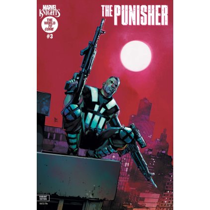 Marvel Knights: Punisher #3