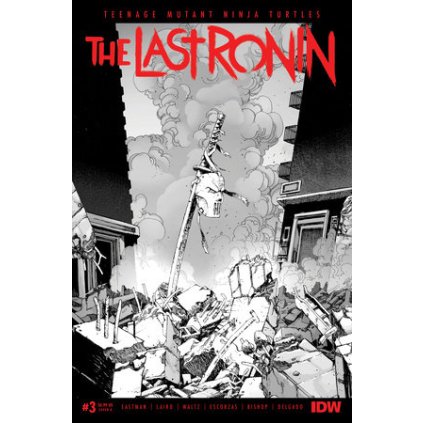 Teenage Mutant Ninja Turtles: The Last Ronin (Reissue) #3