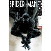 spider man noir poster