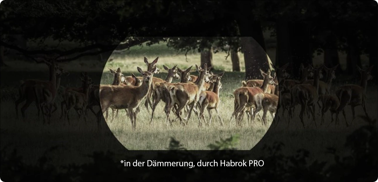 Hikmicro, Habrok PRO, Digitalsensor bei Dämmerung