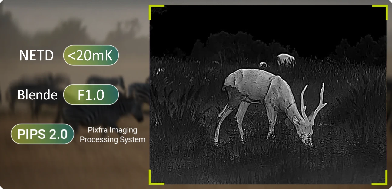 Pixfra, Arc LRF, Wärmebildsensor