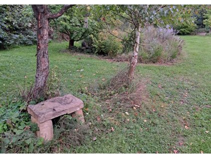 Uvolnění mysli v zahradě