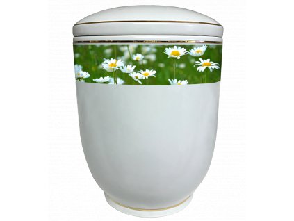 O Urne Diamant Gänseblümchen