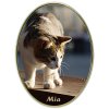 Grabbild für Hund und Katze - Oval