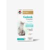 Gelenk Complex Katze 1