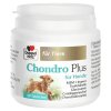 4009932139969 99613 Chondro Plus fuer Hunde 60 fr.856c5b2c