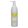 Vlasový šampon Professional pro normální vlasy s dávkovací pumpou 1000 ml