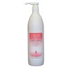Vlasový šampon Professional pro suché vlasy s dávkovací pumpou 1000 ml