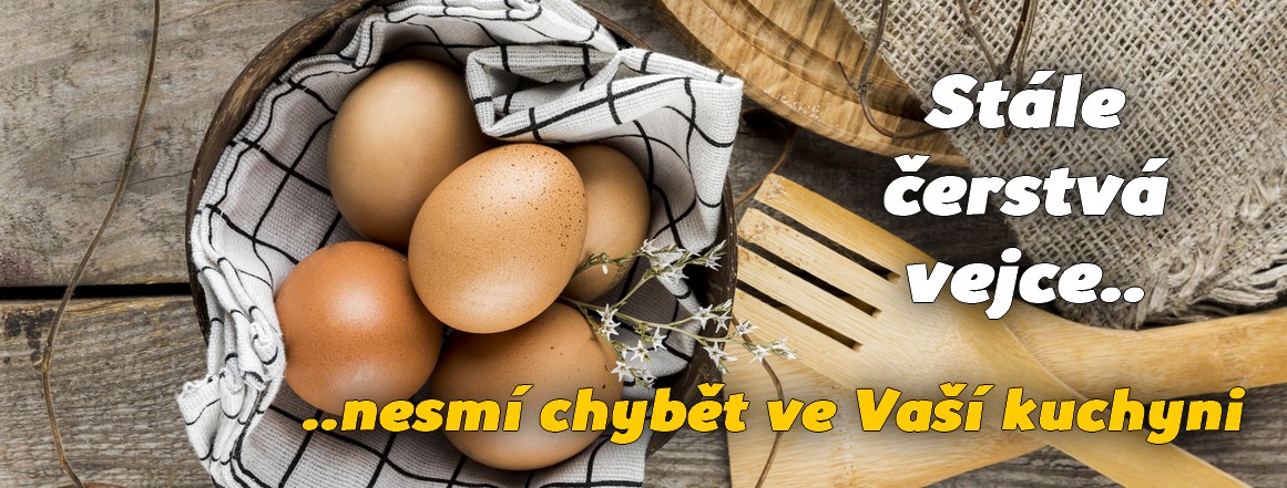 VEJCE