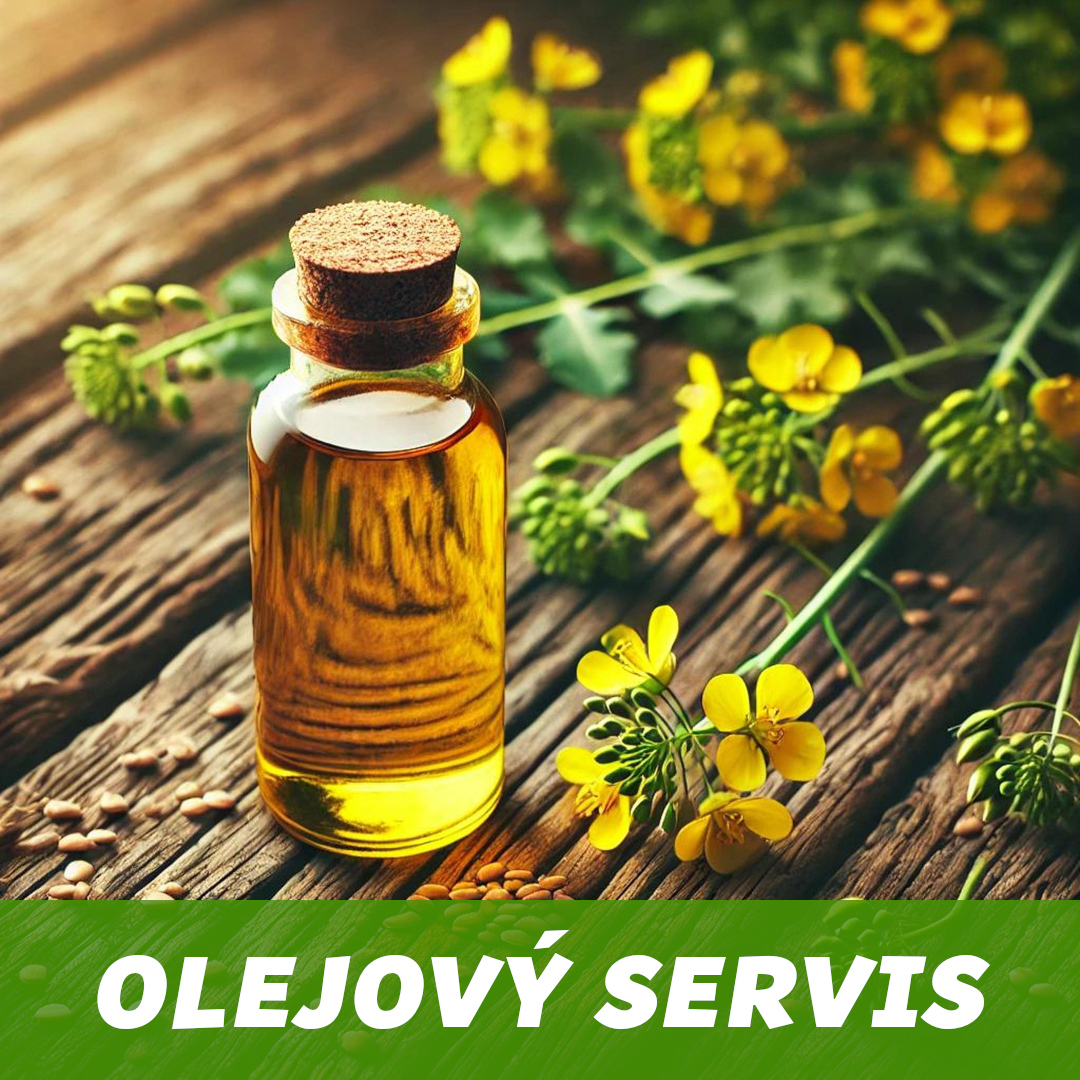 kategorie-olejovy-servis