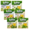 loyd bylinny caj 20ks 6ks