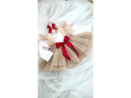 AA25D5DB 031E 4109 B2FF 0B8DC2C28784