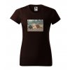 cokoladove-hnede-levne-bavlnene-damske-tricko-stene-labrador