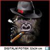 detske-tricko-gorila-opice-klobouk-doutnik