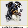 detske-tricko-potisk-border-kolie