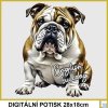 damske-tricko-se-psem-anglicky-buldog