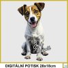 damske-tricko-se-psem-jack-russell