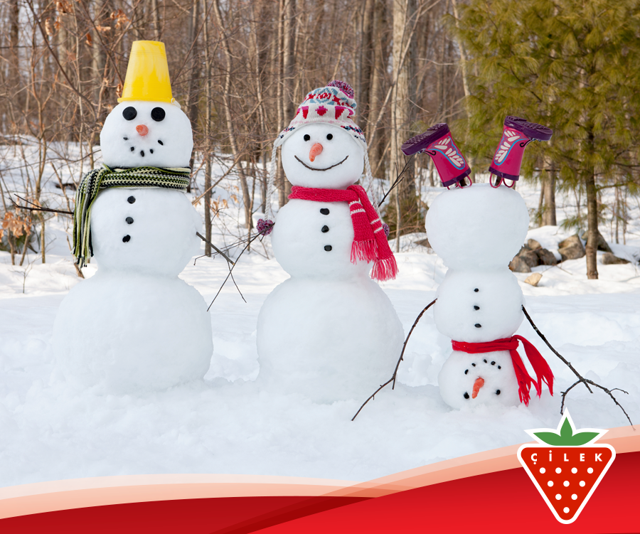 Pololetní vysvědčení