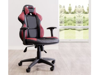 Stolička BiDrive