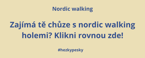 Zajímá tě nordic walking?