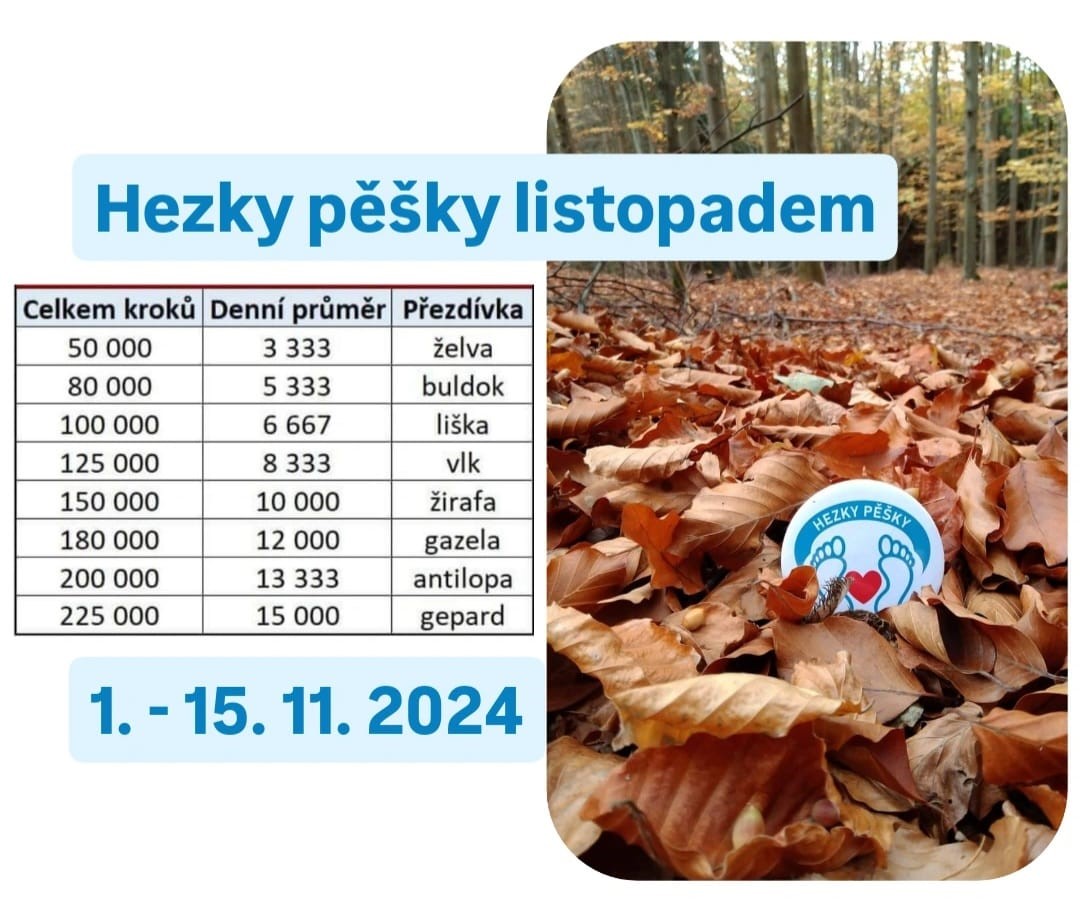 Listopad24