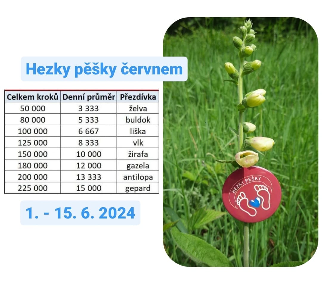 cerven2024