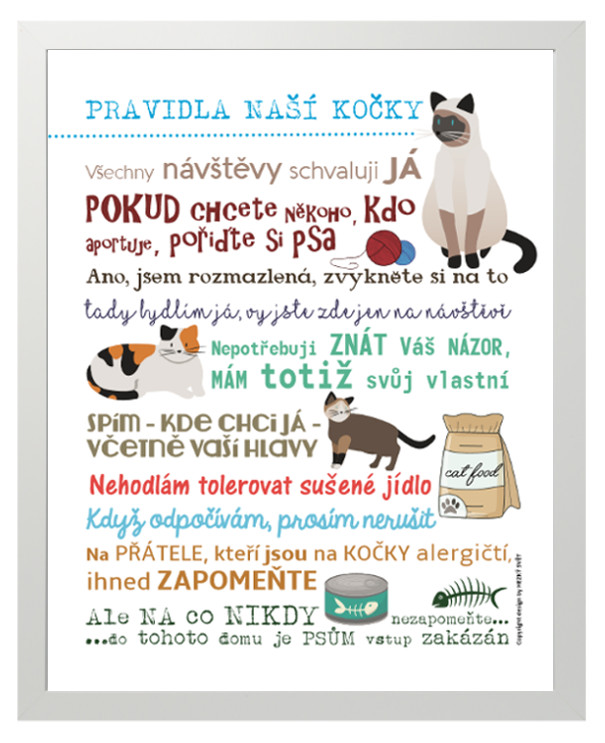 Plakát - Pravidla naší kočky 40 x 50 cm, Plakát bez rámu a bez dárkového tubusu