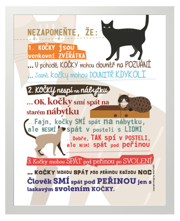 Plakát "A nezapomeňte, že kočky..." 40 x 50 cm, Plakát bez rámu a bez dárkového tubusu