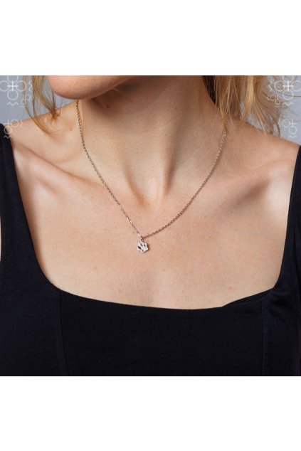 Náhrdelníky Swarovski Tlapka s šatonem Rose