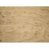 faded pine tree transparent 148 548002