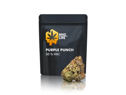 Purple Punch