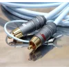 3376 2 supra phono 2rca sc audio anniversary.jpg