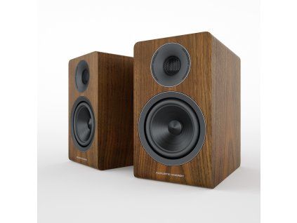 18645 acoustic energy ae300 9846